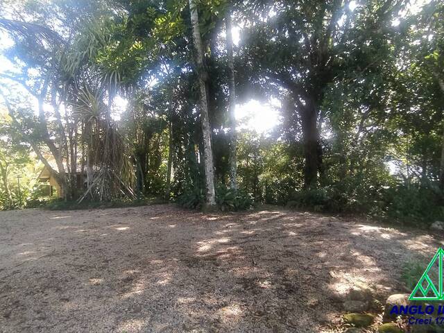 #877 - Terreno para Venda em Ubatuba - SP