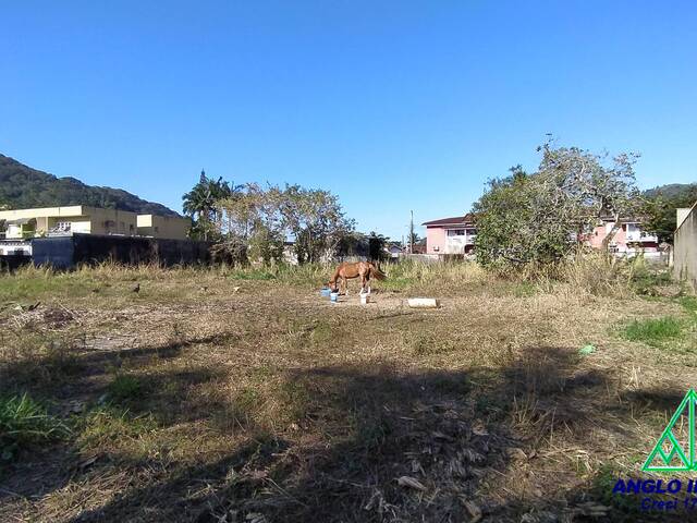 #884 - Terreno para Venda em Ubatuba - SP - 1