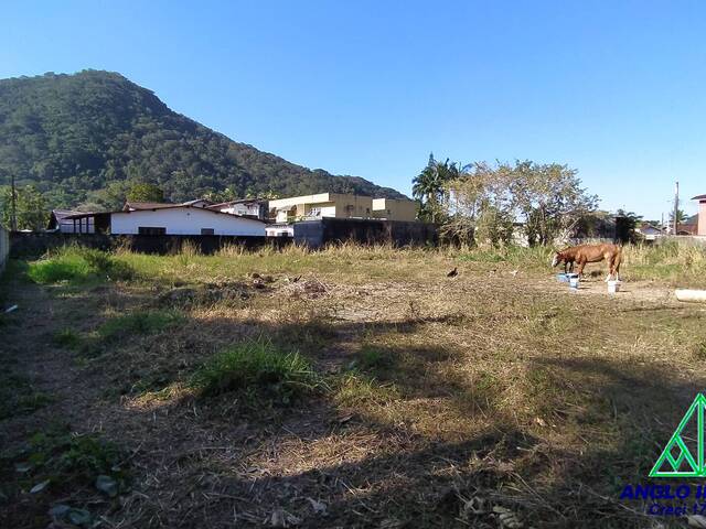 #884 - Terreno para Venda em Ubatuba - SP