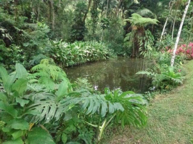 Mansão para Venda em Ubatuba - 2